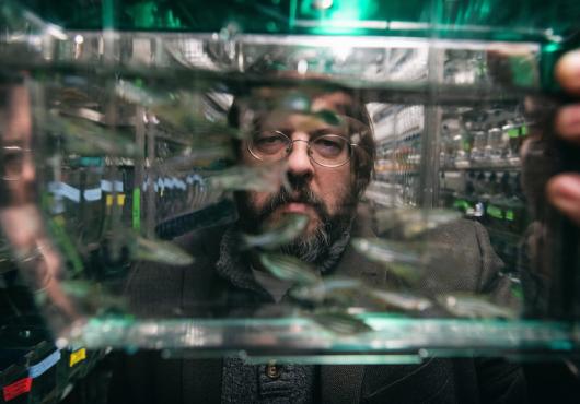 Portrait of a bearded man in glasses through a fish tank he is holding