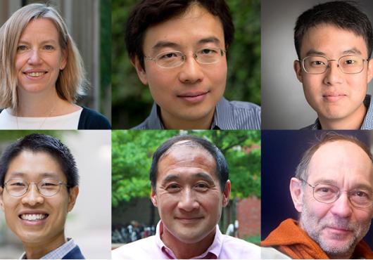 Wagers, Yin, Kim, Loh, Lee, Perrimon