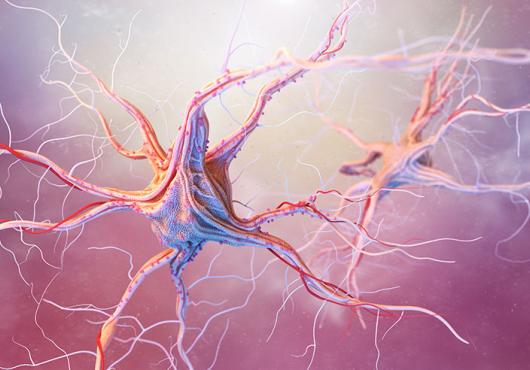 Research homes in on role of environmental exposures in neurologic disease
