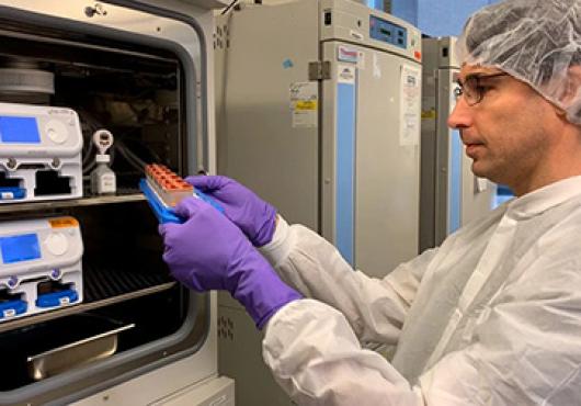 Researcher examines organ on chip
