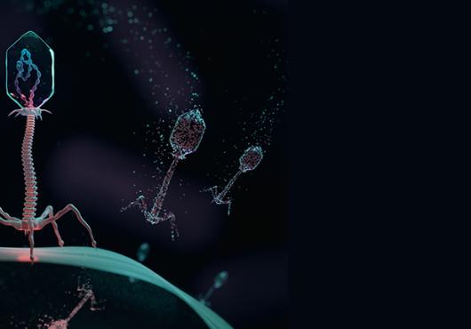 alien-like viruses land on the surface of a bacterial cell and inject genetic information against a black background