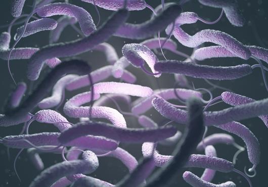 A swarm of purple, rod-shaped single-celled organisms with whiplike tails moving through shadow and light.
