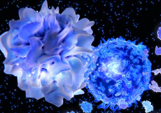 Activated T helper cell segregates the cytokines IL-4, IL-5, IL-6, IL-9, IL-10 and IL-13