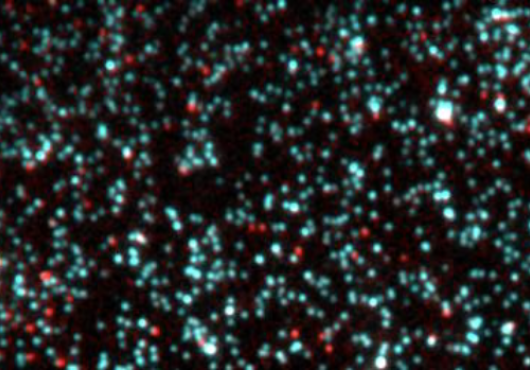 DNA ends glow blue and red