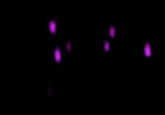 half a dozen blurry magenta dots against a black background