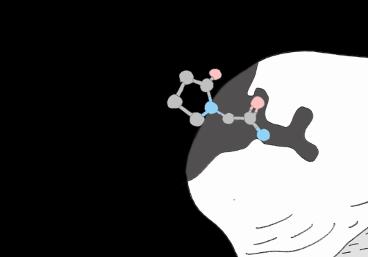 Animation shows a chemical compound binding to a protein like a puzzle piece