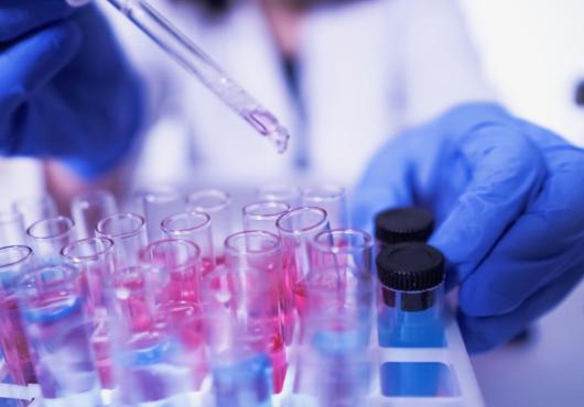 Gloved hands pipette fluid into vials in a rack.	