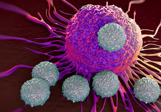 Colorful digital illustration showing T cells attacking a cancer cell