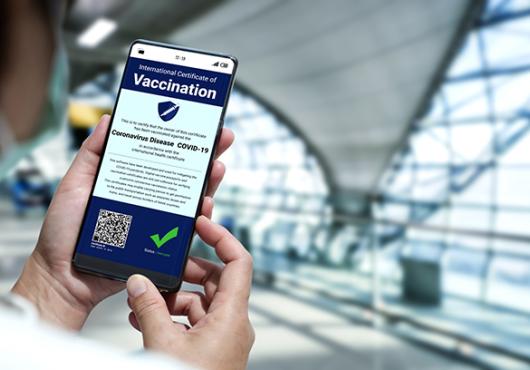 A vaccine QR code on a phone screen