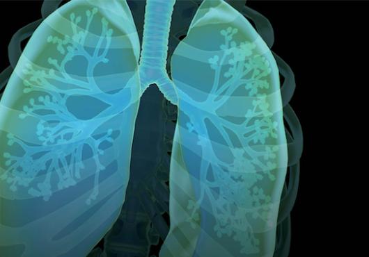 Illustration of human lungs in blue and green hues