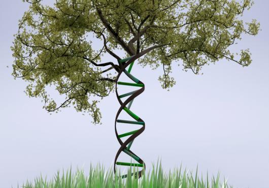 When it comes to disease and health, which is more powerful--zip code or genetic code?