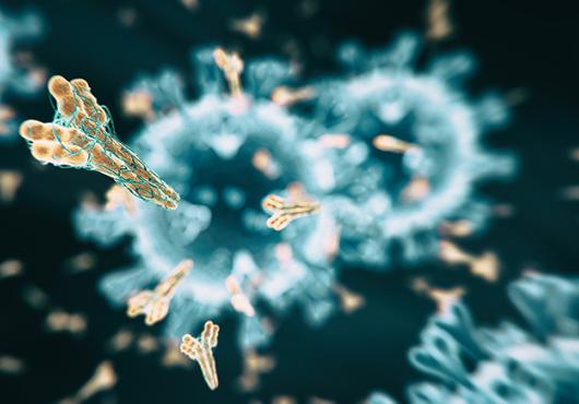 digital image of coronavirus with antibodies