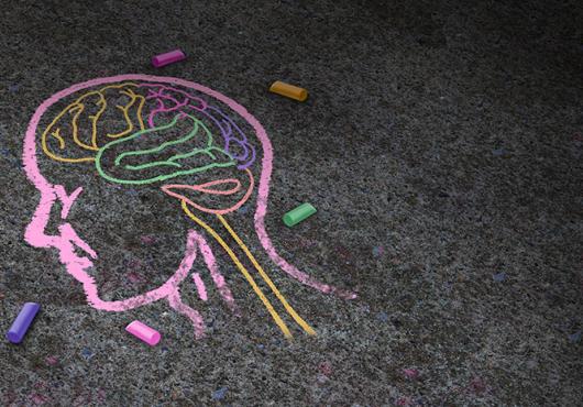 image of a childhood chalk drawing of the human brain