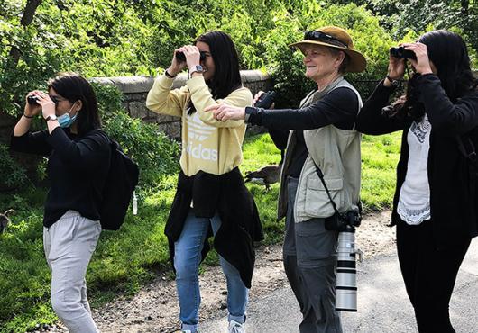 Four women in the park birding - one pointing, three looking through binoculars