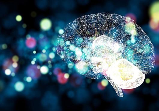 brain and light
