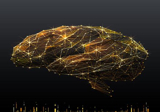 Illuminating the Brain | Harvard Medical School