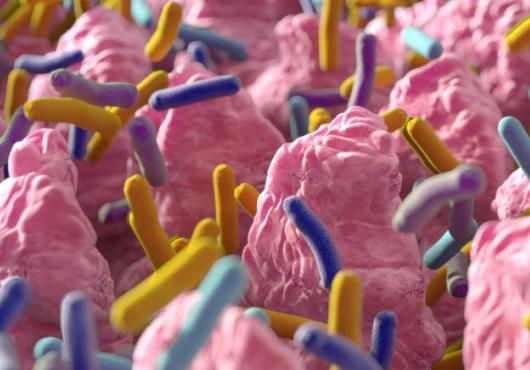 computer-generated illustration of bacteria