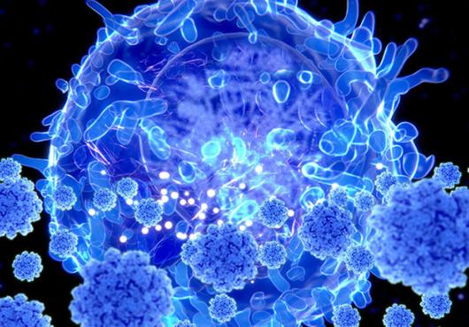 Close-up of a T cell attacking a virus
