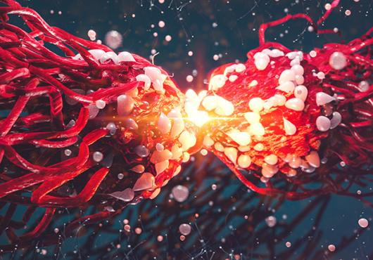 colorful illustration of a cancer cell dividing