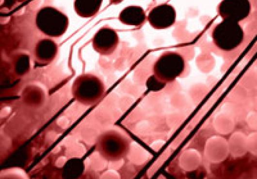 A cell network