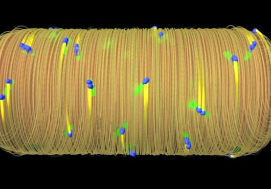 A Chink in Bacteria's Armor