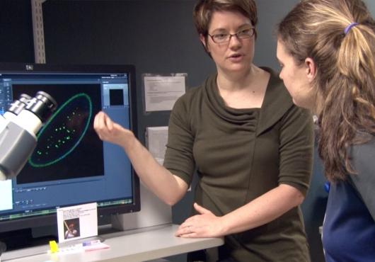 A professor shows a student bacteria on a screen