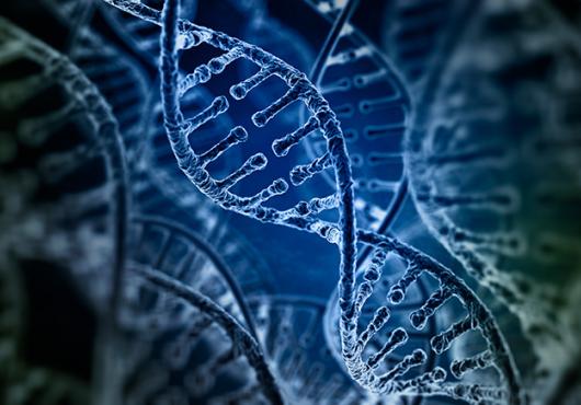 digital illustration of DNA helixes in green and blue