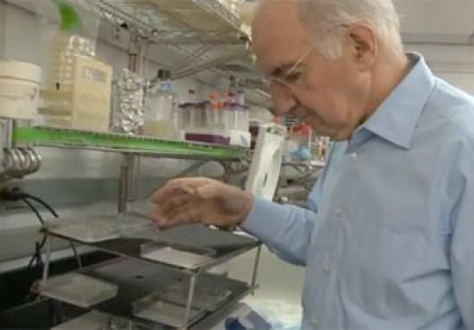 Velcade: First in a New Class of Cancer Drug