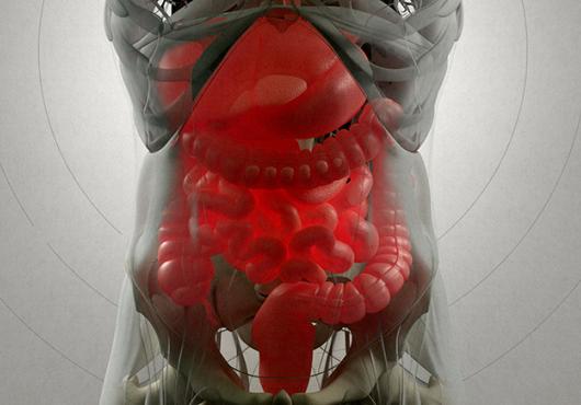 digital xray image of the gut