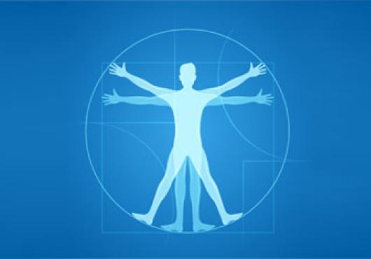 A Vitruvian Man 