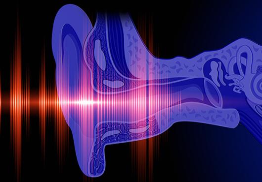 digital illustration of a sound wave and the inner ear