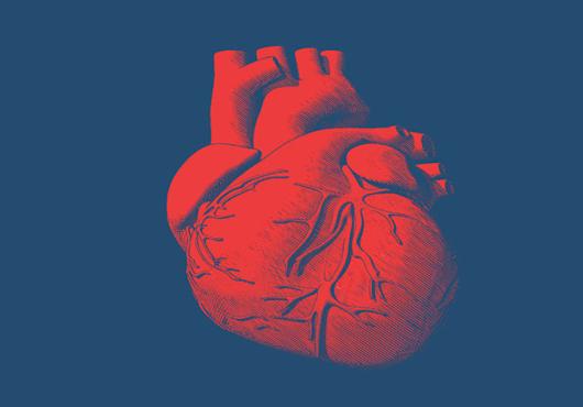 heart