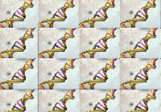 Copies of a helix