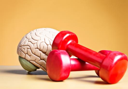 brainexercise