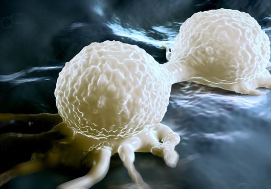 artist's rendition of two cancer cells