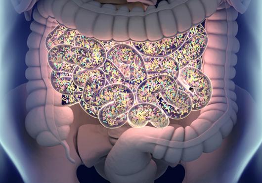Image of microbiomes