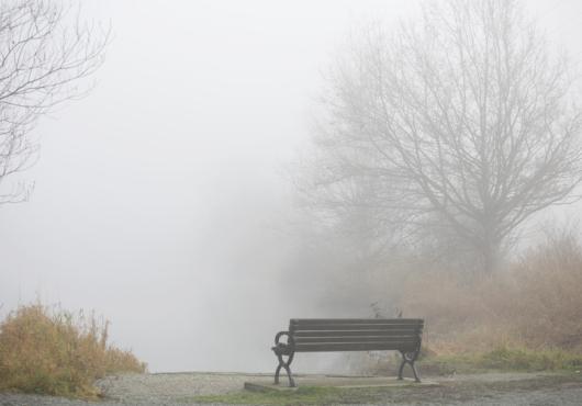 Empty bench in foggy park