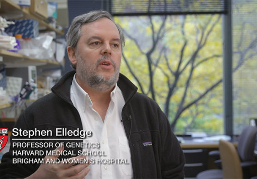 screen grab of Stephen Elledge