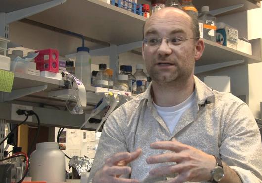 A male scientist in a lab talking