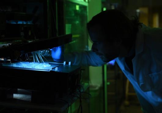 A scientist show how they are researching aging
