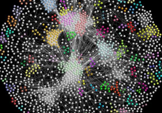 Researchers Build Largest Protein Interaction Map to Date