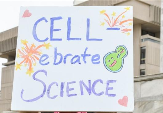 March for Science at HMS Photo Gallery