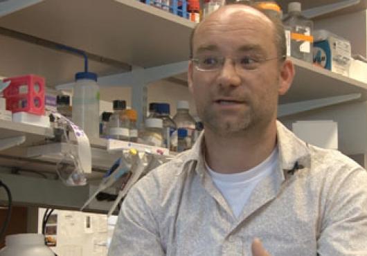 Ovarian Cancer Cells Bully Their Way Through Tissue