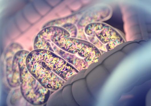 colorful digital illustration of bacteria in the gut