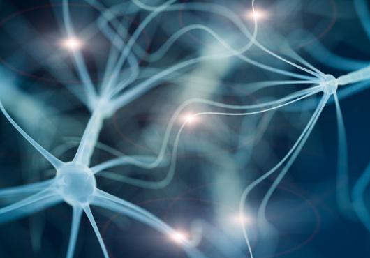 digital illustration of neurons