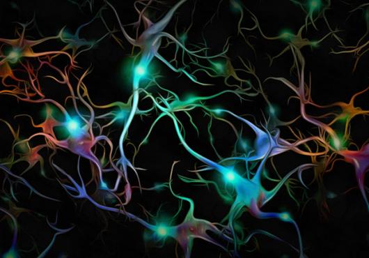 colorful digital illustration of brain cells firing on black background