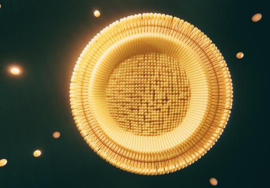 digital illustration of adipose tissue cell