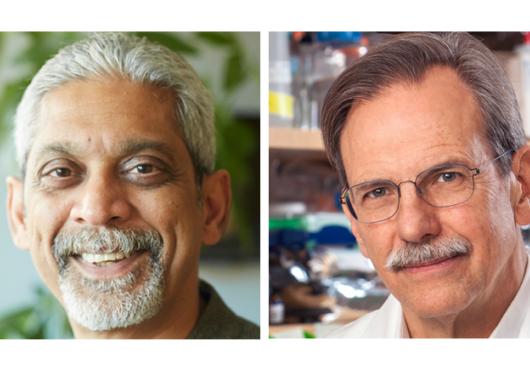 Image of Vikram Patel (left) and Tim Springer (right)