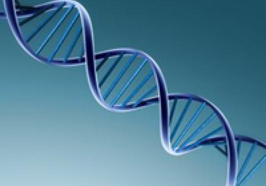 DNA