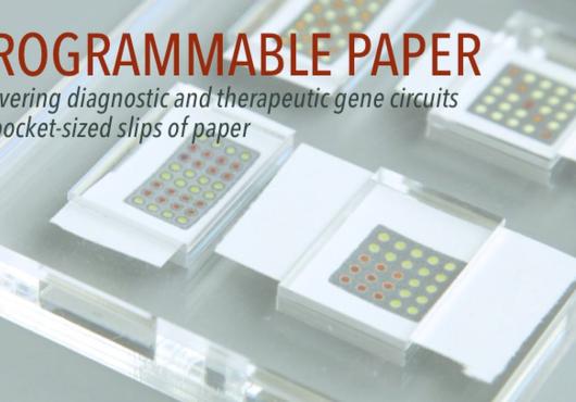 Programmable paper